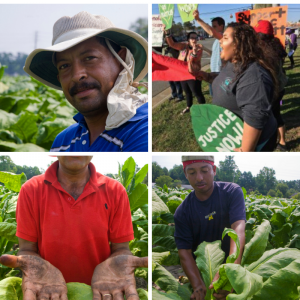 Farmworkers for CMWJ site